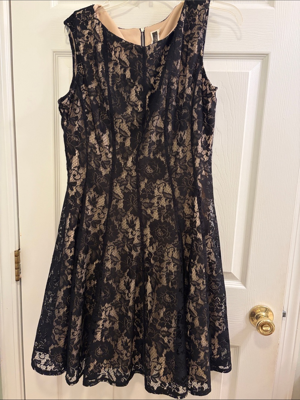 Black Lace Dress with Tan Lining